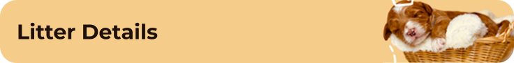 Frame 1 (1)