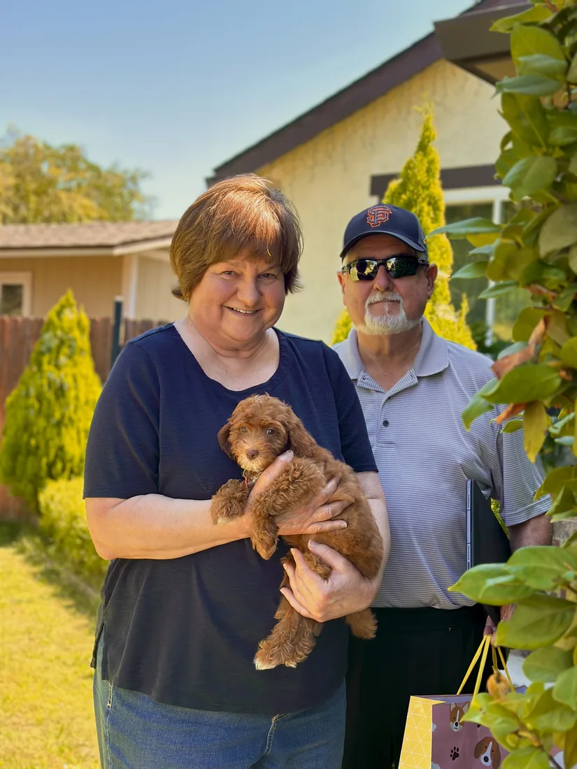 A family with their Adorable Labradoodle