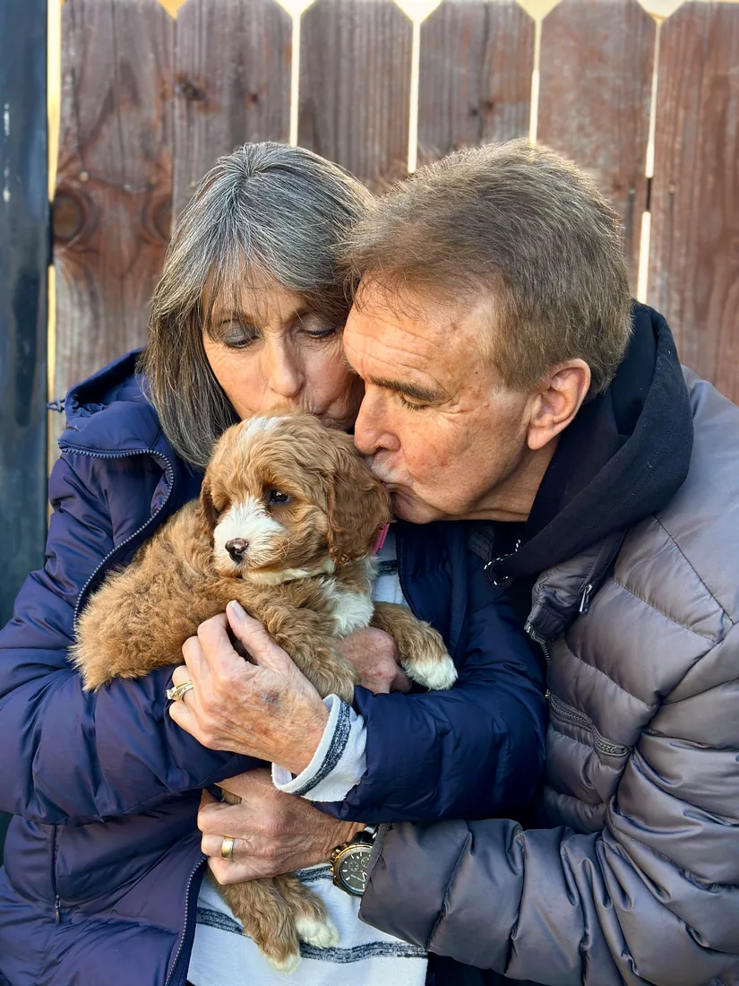 A family with their Adorable Labradoodle
