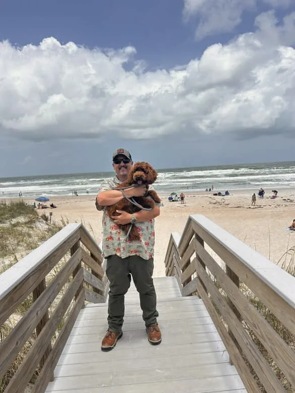 An Australian Labradoodle all grown up
