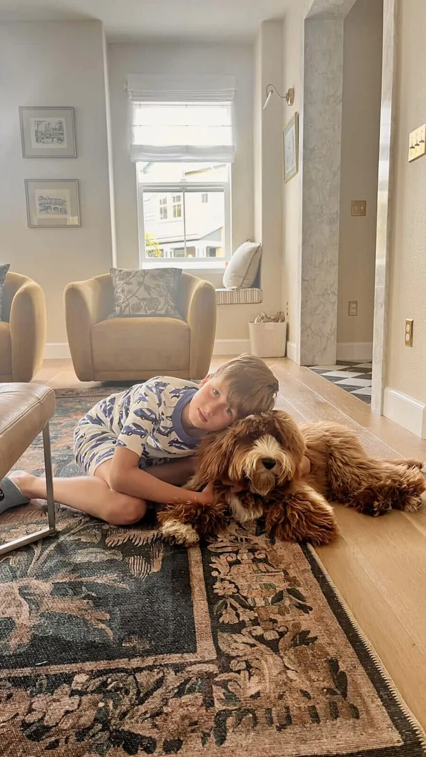 An Australian Labradoodle all grown up